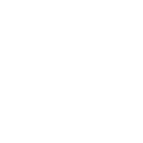 PPF Recruitment Ethical and Transparent Practices